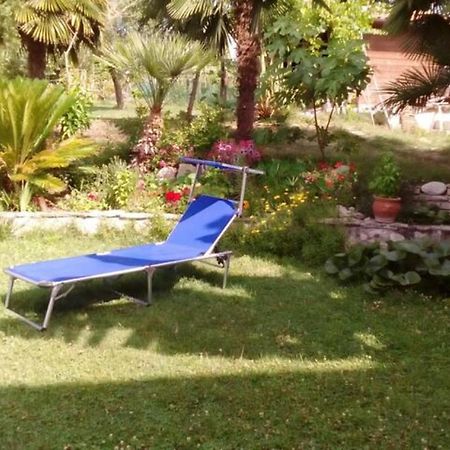 Residenza Flores Apartment Pescara Ngoại thất bức ảnh